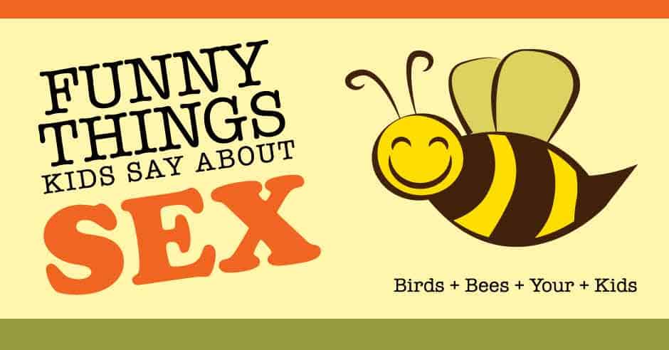 Funny Birds + Bees Stories - Birds & Bees & Kids