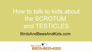 how to talk to kids about the scrotum and testicles