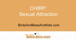 sexual attraction