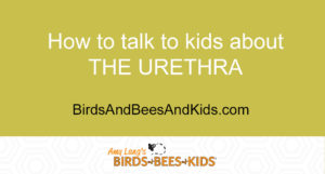 how to talk about the urethra